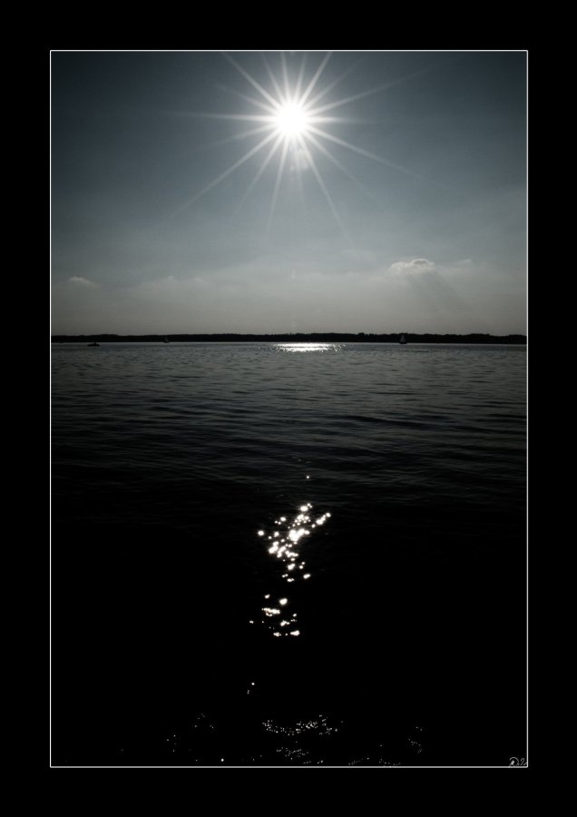 Picture of the day